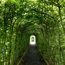 avasilvermoon avatar