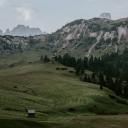 averyacebuttercup avatar