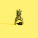 averygaypineapple avatar