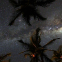 avocado123sblog avatar