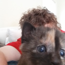 awellrespectedcavetroll avatar