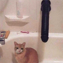 awesome-bowl-of-cereal avatar