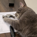 awkwardpenguin11 avatar