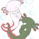 axolittles avatar