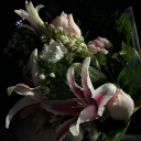 azureseawater avatar