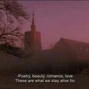 azurmysterymuseum avatar