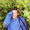 babybunharry avatar