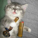 babycat420 avatar