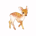 babydeersblog avatar