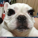 babyiwassowrong-blog-blog avatar