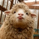 babys-soft-space avatar