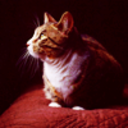 back-to-hogwarts avatar