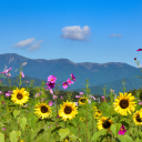 backfromthefront avatar