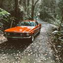 baconshouldgrowontrees avatar