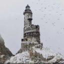 bad-luck-to-kill-a-sea-bird avatar