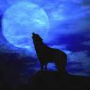 baddwerewolf avatar