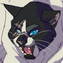 badgerclaw-of-shadowclan avatar