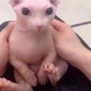 badguyyyyyyyyy avatar