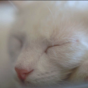 bagcitylights avatar