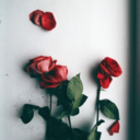 baindhhakmahsj avatar