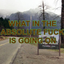 bainofmyexistence avatar