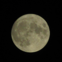 bakanekisblog avatar