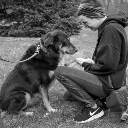 balanceandcombrosure avatar