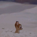 bambishypnocottage avatar