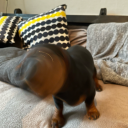 bananastringshatesquad avatar