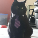 bandnerdsunite avatar