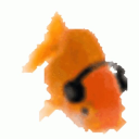 bandom-of-the-sea avatar