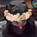 bandomfandombeyond avatar