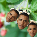 barackberries avatar