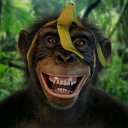 barbecuesauseonmy2ts avatar