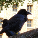 bardicinspired avatar