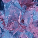 bark-and-bones avatar