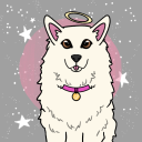 barking-at-strz avatar