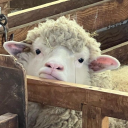 barrenspinster avatar