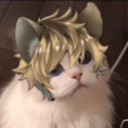 basic-wonderlands avatar