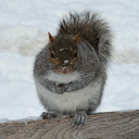 basilbunnycreachers avatar