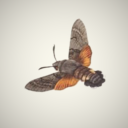 bastards-utopia avatar