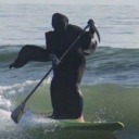 bastardus-lestrange avatar