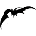 batcountryword-blog avatar