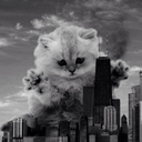 batmanluver98 avatar