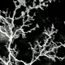 bbcghostsliamrip avatar