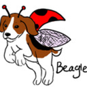 beaglebug avatar