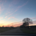 beanfullofanxiety avatar