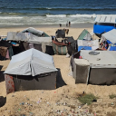 beardedcandyhideout avatar