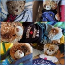 bearybestfriends avatar