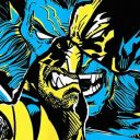 beastandwolverine avatar